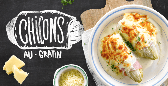 Chicons au gratin